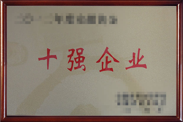 十強企業(yè)